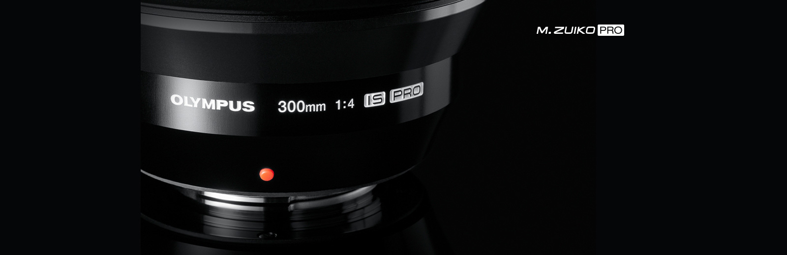 OLYMPUS 300/4 IS ED ZUIKO PRO  (-300€ REMBOURSÉE PAR OM SYSTEM JUSQU'AU 20/07) – Image 5