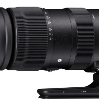 60-600mm F4.5-6.3 DG OS HSM | Sports NIKON