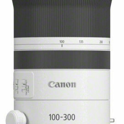 CANON RF 100-300/2.8 L IS USM